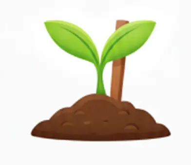 neuro nexos tegucigalpa..